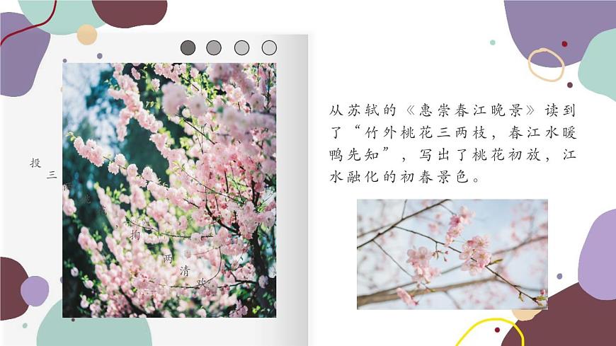 統(tǒng)編版語文七年級上冊 1 春課件第5頁