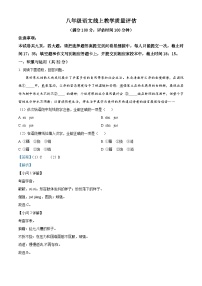 河南省郑州市金水区河南省实验中学2022-2023学年八年级上学期期中语文试题（解析版）