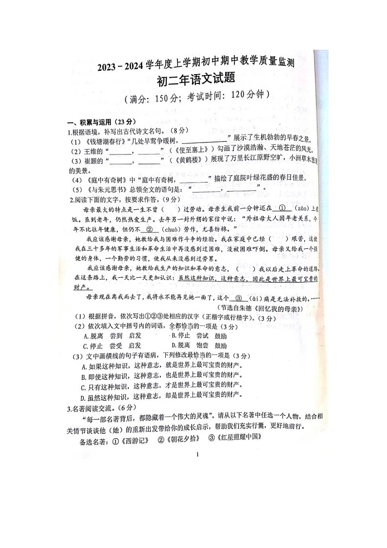 福建省泉州市南安市2023-2024学年八年级上学期期中教学质量监测语文试题第1页