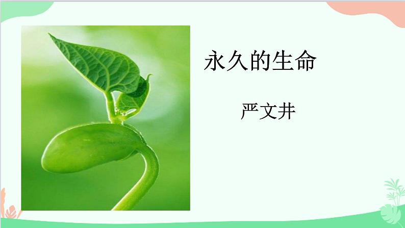 统编版语文八年级上册 第四单元 16 短文二篇课件03