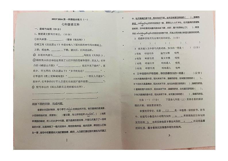 广东省揭阳市普宁市城东中学2023-2024学年七年级上学期期中考试语文试题01