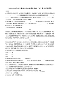 2022-2023学年安徽省宿州市泗县八年级（下）期末语文试卷(含答案解析)