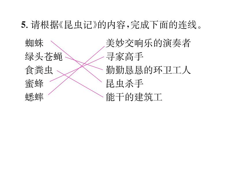 人教版八年级语文上第4单元情感哲思《昆虫记》综合训练(1)课时训练ppt第5页
