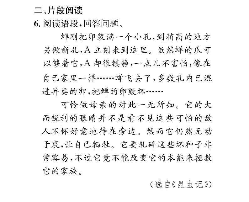 人教版八年级语文上第4单元情感哲思《昆虫记》综合训练(1)课时训练ppt第6页