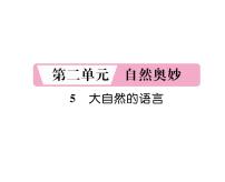 初中语文人教部编版八年级下册大自然的语言教案配套课件ppt