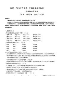 山东省滨州市滨城区2023-2024学年九年级上学期期中考试语文试题（含答案）