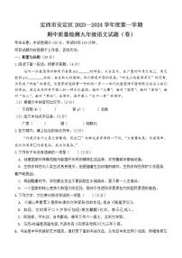 甘肃省定西市陇西县2023—2024学年九年级上学期期中质量检测语文试卷（含答案）