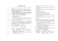 山东省淄博市淄川区2023-2024学年八年级上学期11月期中语文试题