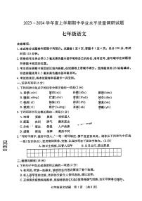 山东省临沂市河东区2023-2024学年七年级上学期期中考试语文试题