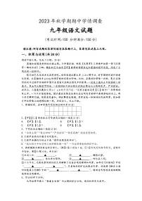 江苏省泰州市姜堰区2023-2024学年九年级上学期期中语文试题