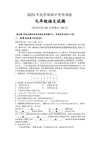 江苏省泰州市姜堰区2023-2024学年九年级上学期期中语文试题