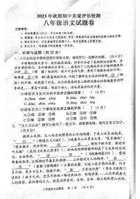 河南省南阳市宛城区2023-2024学年八年级上学期11月期中语文试题