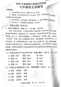 河南省南阳市宛城区2023-2024学年七年级上学期11月期中语文试题