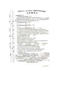 河南省汝阳县2023-2024学年七年级上学期期中学科素养检测语文试题