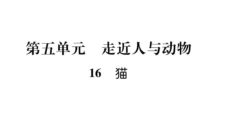 人教版七年级语文上第5单元走近人物故事16猫课时训练PPT第1页