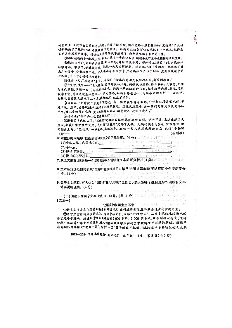 河南省汝阳县2023-2024学年九年级上学期期中学科素养检测语文试题第3页