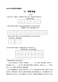 14 、中考字形通关专练（原卷版）2024中考语文冲刺专练