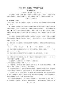 江苏省扬州市仪征市2023-2024学年九年级上学期11月期中语文试题