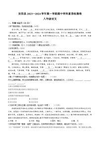 河南省汝阳县2023-2024学年八年级上学期期中语文试题