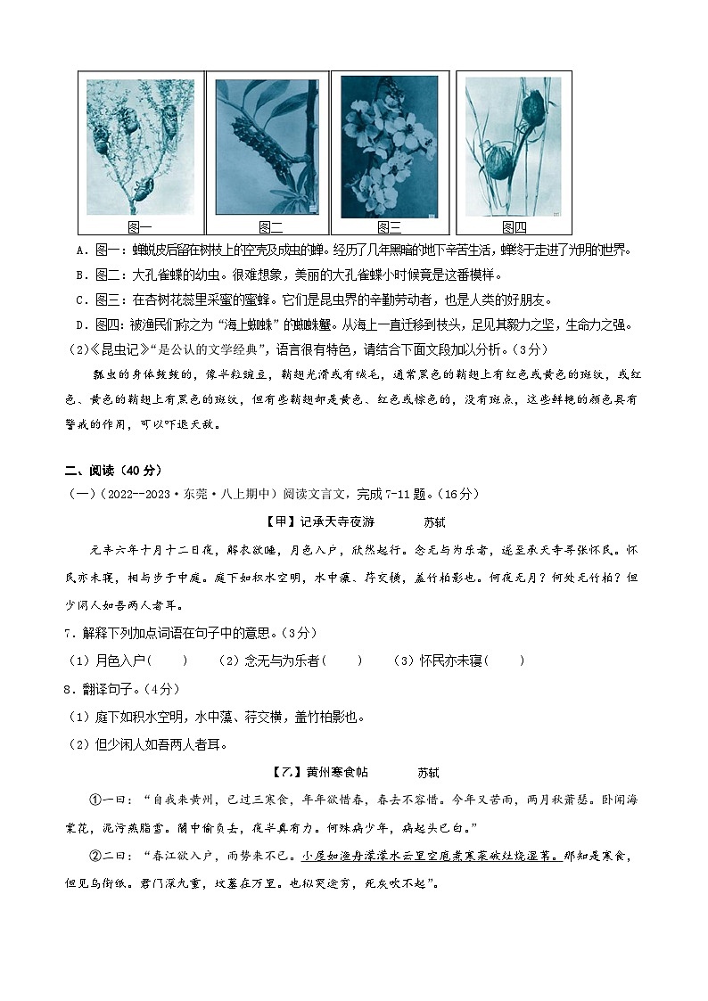 八年级语文第三次月考卷02(广东专用,第1-5单元)-2023-2024学年初中上学期第三次月考03