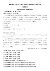 湖南省怀化市2023-2024学年九年级上学期期中语文试题 含答案解析