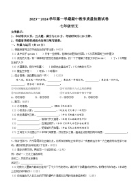 河南省洛陽(yáng)市新安縣2023-2024學(xué)年七年級(jí)上學(xué)期期中語(yǔ)文試題