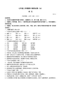 河南省安陽市林州市2023-2024學(xué)年七年級上學(xué)期期中語文試題（含答案）