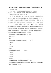 广东省深圳中学2023—2024学年九年级上学期期中考试语文试题