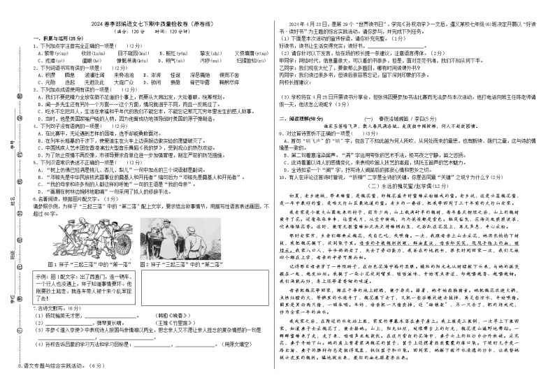 2024春季部编语文七下期中质量验收卷（原卷版+解析版）01