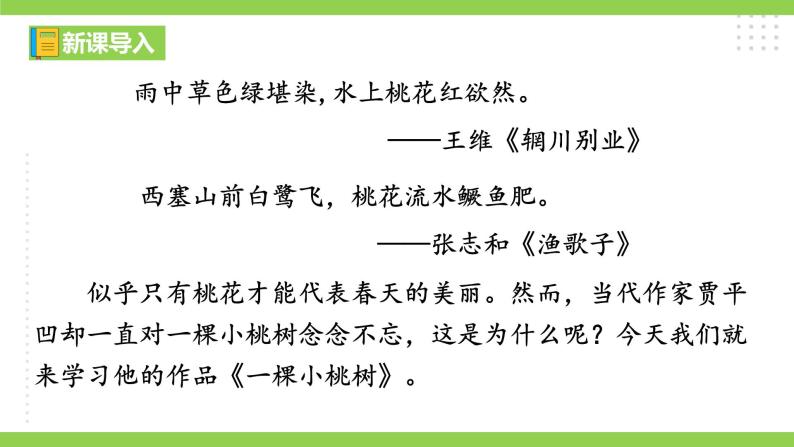 19【核心素养】部编版初中语文七年级下册 19《 一棵小桃树》课件+教案+导学案（师生版）+同步测试（含答案）01