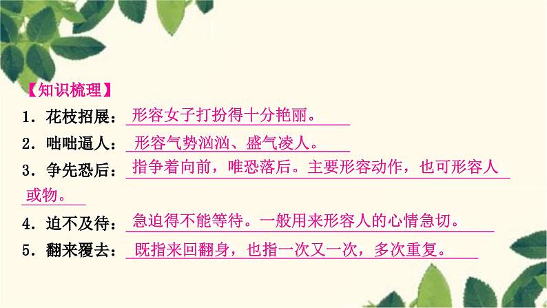 部编版语文七年级上册 2-期末复习专题二 词语(成语)的理解与运用 课件02