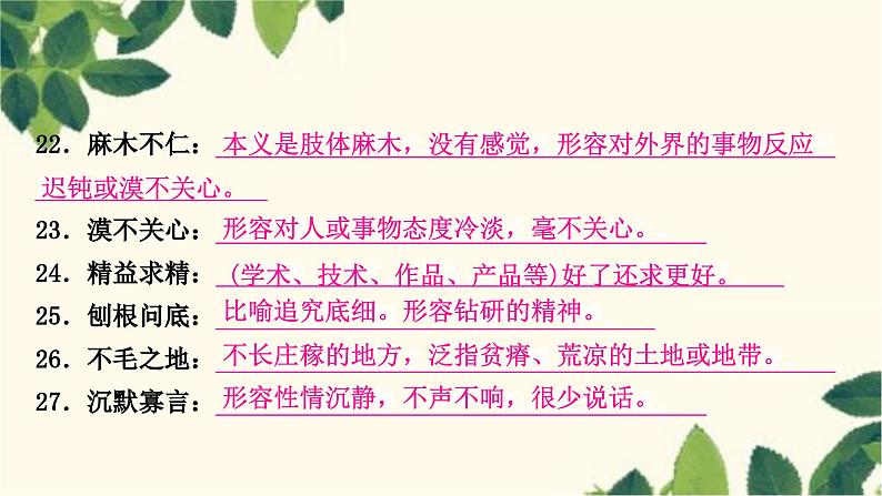部编版语文七年级上册 2-期末复习专题二 词语(成语)的理解与运用 课件06