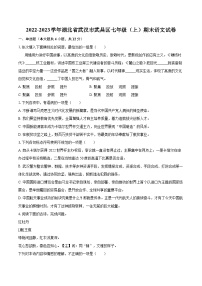 2022-2023学年湖北省武汉市武昌区七年级（上）期末语文试卷（含答案解析）