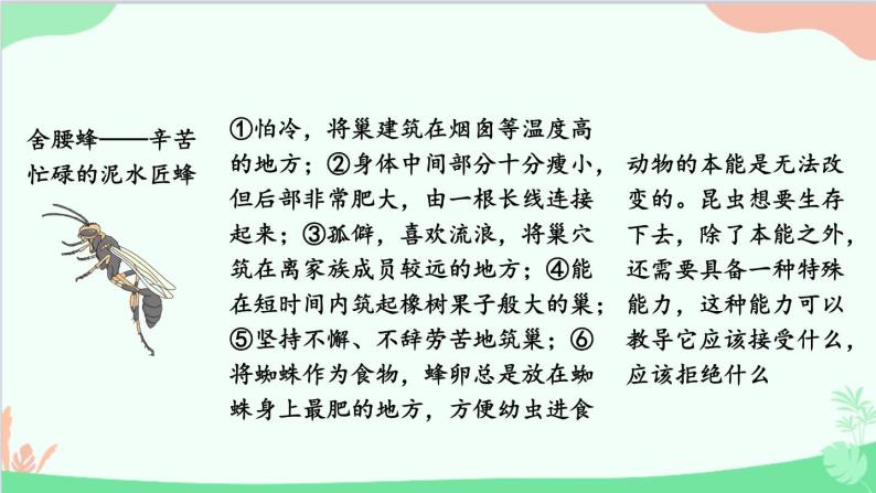 统编版语文八年级上册 名著导读 《昆虫记》 科普作品的阅读课件07