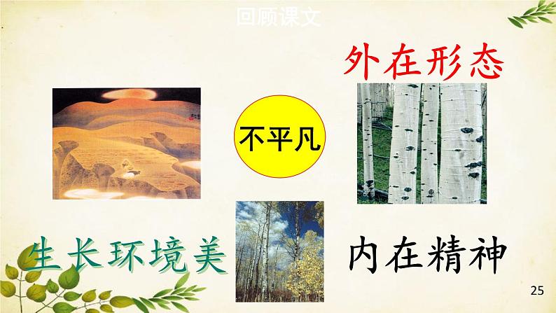 统编版语文八年级上册 15 白杨礼赞【第二课时】课件第3页