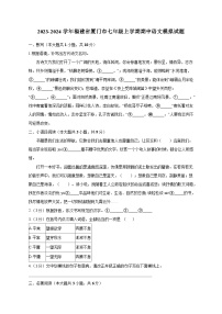 2023-2024学年福建省厦门市七年级上册期中语文模拟试题（附答案）