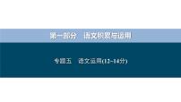 专题五 语文运用-备战2024年中考语文总复习(安徽专用)课件PPT