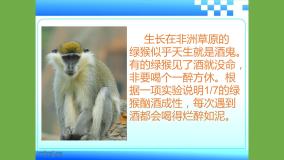 初中语文人教部编版七年级上册动物笑谈教学ppt课件
