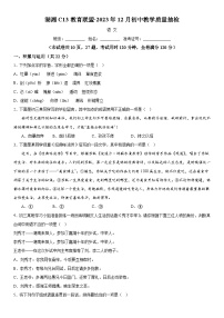 湖南省湖湘C13教育联盟2023-2024学年九年级上册第三次月考语文试题（含解析）