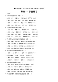 考点01 字音-2023-2024学年八年级上册语文高频考点专项突破试卷（部编版，含解析）