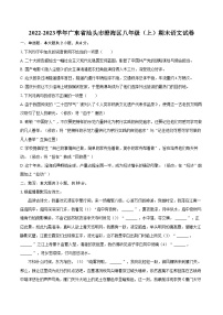 2022-2023学年广东省汕头市澄海区八年级（上）期末语文试卷（含详细答案解析）