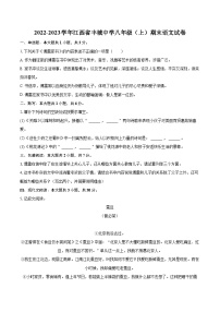 2022-2023学年江西省丰城中学八年级(上)期末语文试卷(含详细答案解析)