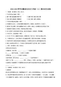 2022-2023學年安徽省安慶市八年級（上）期末語文試卷（含詳細答案解析）