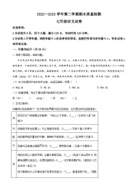 河南省洛阳市宜阳县2022-2023学年七年级下学期期末语文试题
