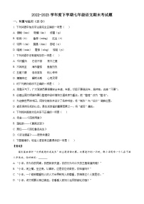 黑龍江省哈爾濱市巴彥縣2022-2023學(xué)年七年級下學(xué)期期末語文試題