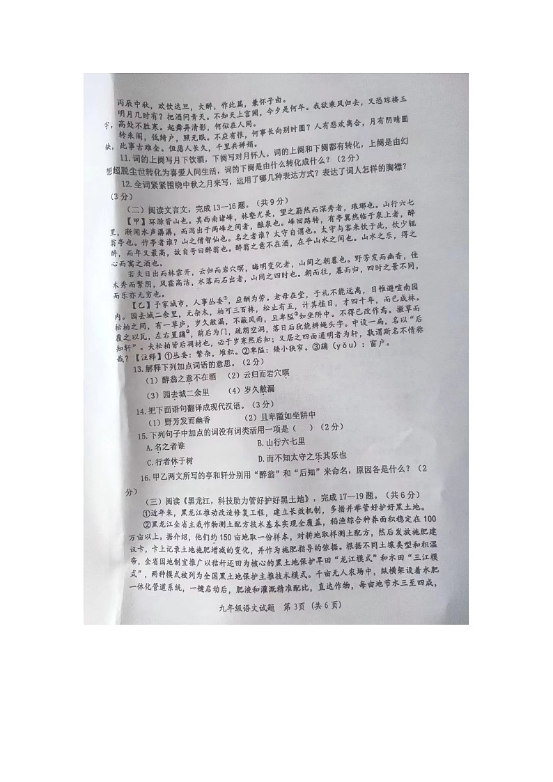 黑龙江省齐齐哈尔市依安县等4地2023-2024学年九年级上学期12月期末考试语文试题第3页