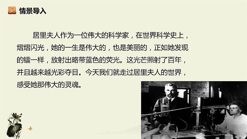 美丽的颜色PPT课件802