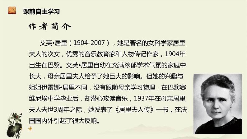 美丽的颜色PPT课件804