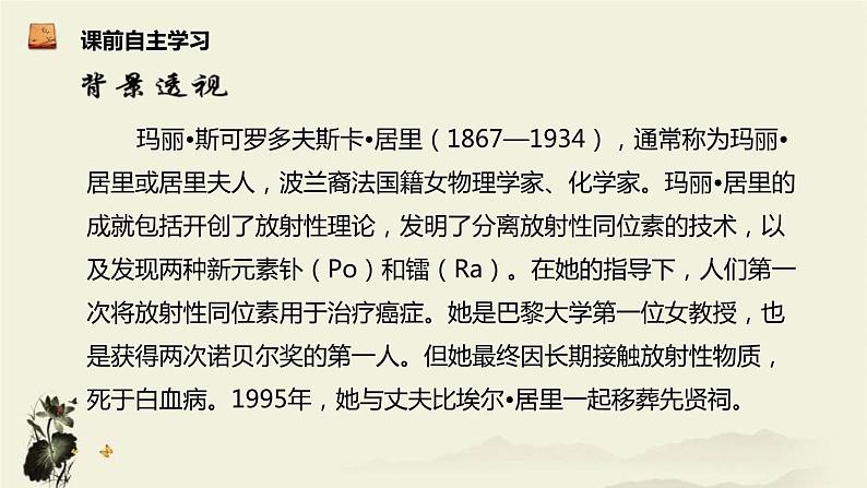 美丽的颜色PPT课件805