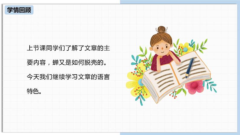 蝉PPT课件8第5页